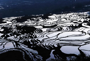 水墨梯田