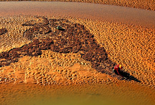 摸蛤涂鸦两不误