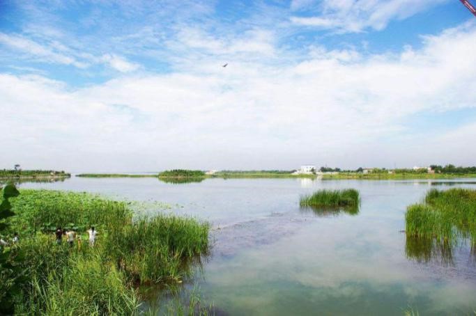 河北衡水湖富营养化综合治理项目