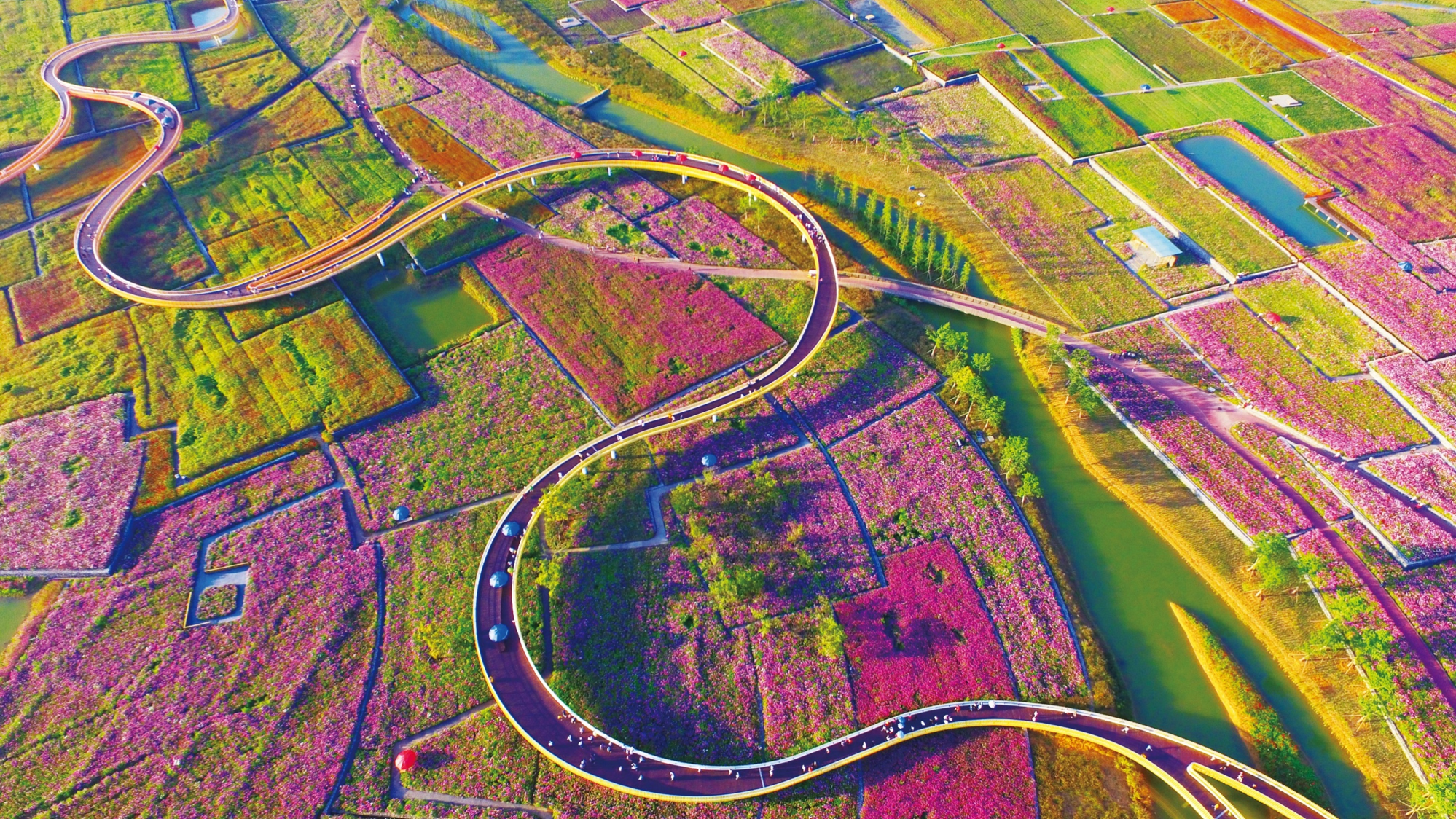 江苏宿迁三台山森林公园生态旅游项目