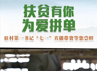 红色力量，助推乡村振兴跑出“加速度”