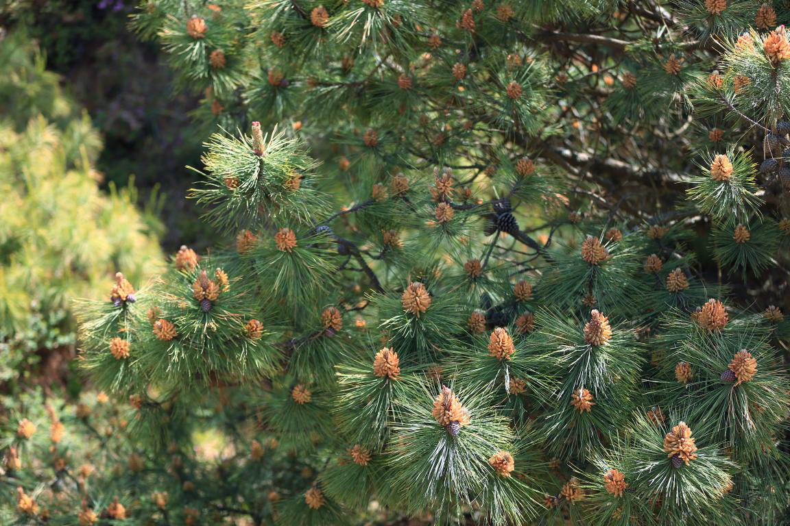 打造绿色生态产业链让“绿水青山”变成“金山银山”