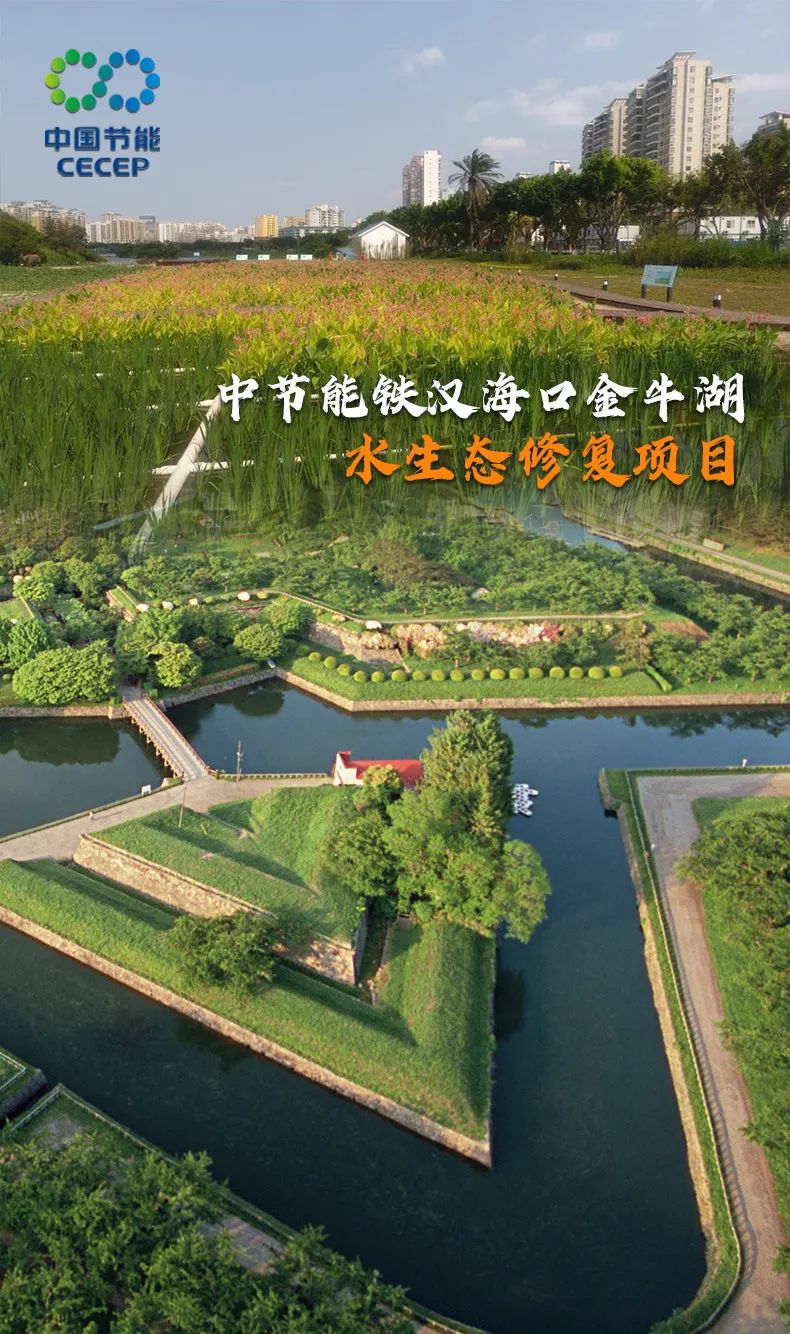 水生态修复项目