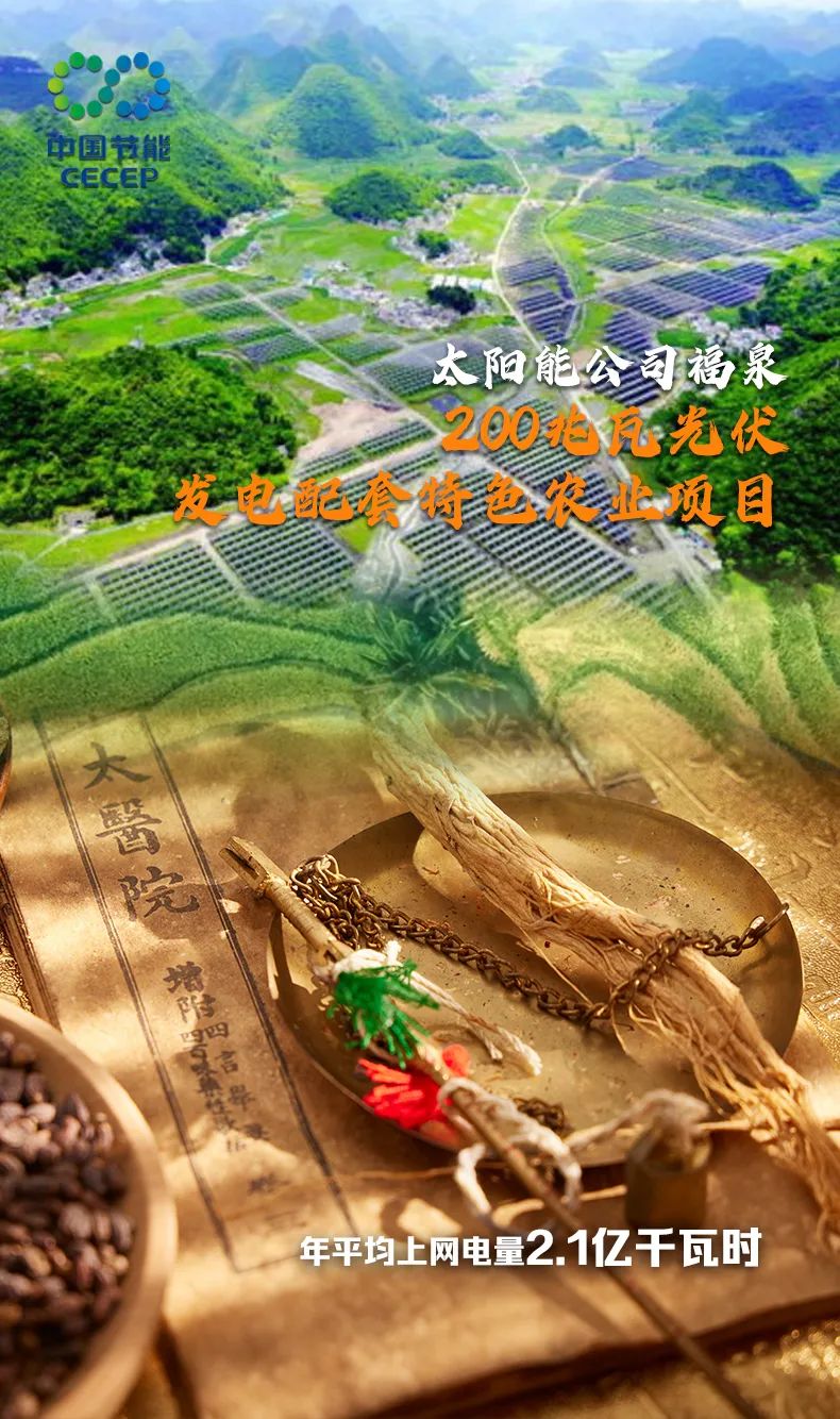 200兆瓦光伏发电配套特色农业项目